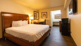Magnuson Extended Stay and Suites Airport Hotel - Irving - 5