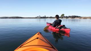 M Star Hotel Covington - 2