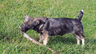 M Star Hotel Covington - 3