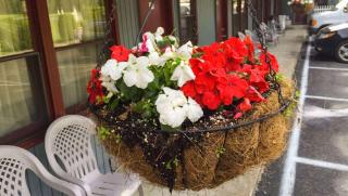 Pleasant Valley Motel West Stockbridge - 8