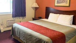 Rodeway Inn - Manchester - 6