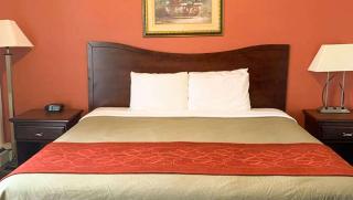 Rodeway Inn - Manchester - 5
