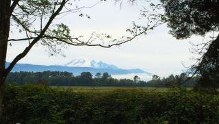 Windmill Inn Lynden - Lynden - 8