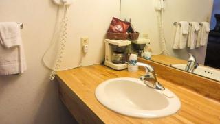 Voyageur Inn and Conference Center - Reedsburg - 4