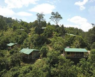Gorilla Hills Eco-lodge - Kisoro - 4
