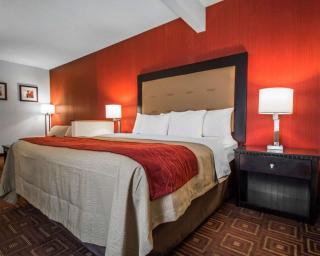 Quality Inn & Suites NJ State Capital Area - 3