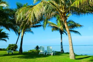 Bedarra Beach Inn - Korotogo - 9