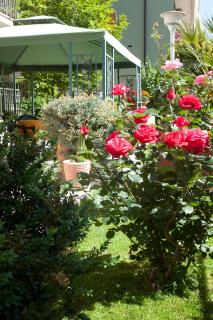 Hotel Corallo - Albinia - 5