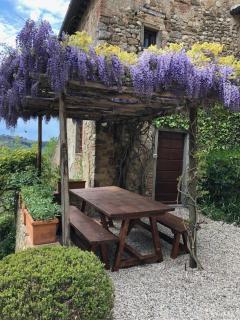 Corzano e Paterno - San Casciano in Val di Pesa - 7
