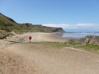 Griff Cottage, Skinningrove - 4