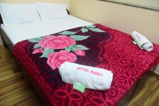 Hotel Parag - Pune - 6