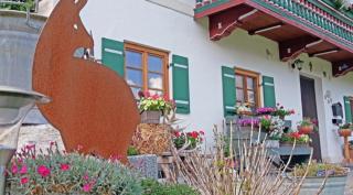 Gschwendtner-Hof Ferienhof mit Wildgehege - Schleching - 8