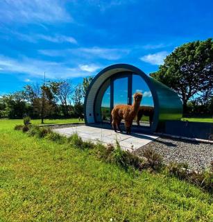 Black Knowe, Luxury Glamping Pods, Ballycastle - Ballycastle - 4