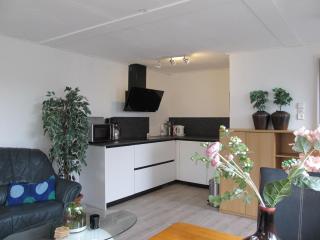 Strandhuussie Texel - De Koog - 4