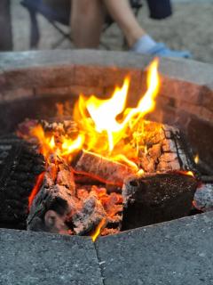 Glenarm Castle Ocean View Pods - 1