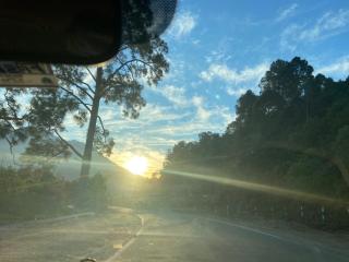 HOTEL THE TARANANT - 6