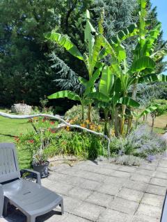 Gite Charentais Le Coin Arboré - 3