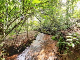 Cantinho Paraíso da Mantiqueira Casa privativa na Serra com cachoeira - 8