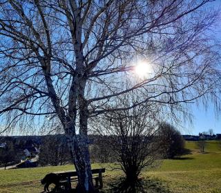 Albblick - 7