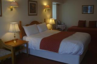 Drake Hotel Plymouth - Plymouth - 8