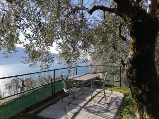 Casetta delle olive - 4