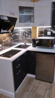 Apartamenty U Iwony Centrum miasta blisko Parku Zdrojowego - Kudowa-Zdrój - 7