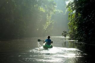 Tortuga Lodge - Tortuguero - 3