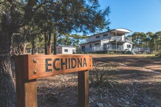 Echidna on Bruny - Barnes Bay - 8