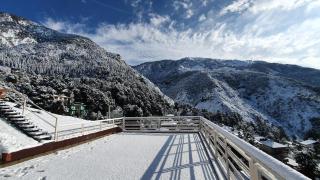 Nomadic Inn - Dharamshala - 1