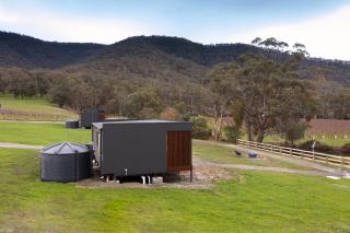 Sambar Hills- Kings #3 - 1