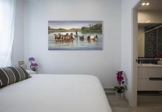 Apartamento Salamanca Confort XII en Madrid - Madrid - 6