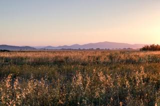 Residence La Canova II - 3