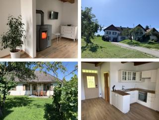 Urlaub im Weingarten - Winten - 4
