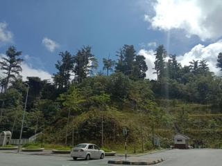 Zarena Somersquare Goldenhills Pasar Malam Tanah Rata Cameron Highlands - Tanah Rata - 8