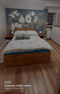Apartamenty U Iwony Centrum miasta blisko Parku Zdrojowego - Kudowa-Zdrój - 9