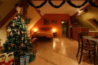 Apartments Zámoček Staré časy - Poprad - 5