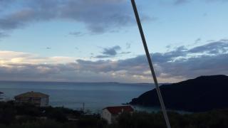 Olive Tree Apartments - 8