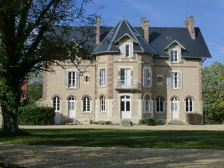 Le château de la brosse Chambres d'hôtes - Brinay - 9