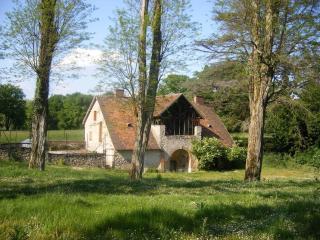 Le château de la brosse Chambres d'hôtes - Brinay - 4