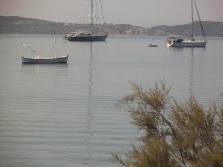 Medousa - Adamas - 2