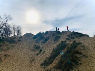 Potvis - Oostduinkerke - 8