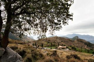 Apartaments Cal Borda - 3