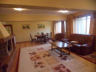 Conacul Domnesc - Suceava - 8