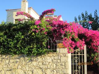 Aloe & Lotus Villas - Prinés - 8