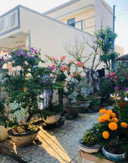 HOMESTAY LOAN ANH - 3