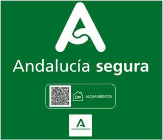 TODOSIERRANEVADA ZONA BAJA - APARTAMENTOS DE 4 DORMITORIOS - Junto a los Telecabinas - Serra Nevada - 4