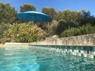 Maison de famille au coeur du Luberon - 4