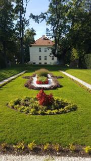 Pałac Nakomiady - Nakomiady - 8