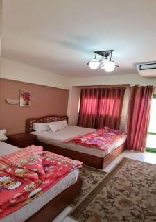 Green House Hotel Ras Elbar - Ras El Bar - 9