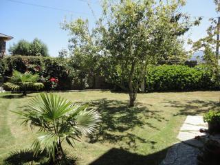 Casa Rural Vila Pomar - 4